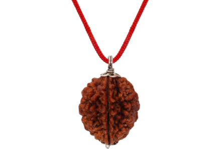 The Power of Duality: Understanding 2 Mukhi Rudraksha Energy